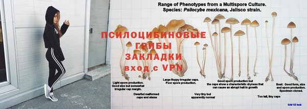 ПСИЛОЦИБИНОВЫЕ ГРИБЫ Нефтегорск