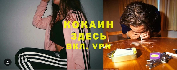 ПСИЛОЦИБИНОВЫЕ ГРИБЫ Нефтегорск