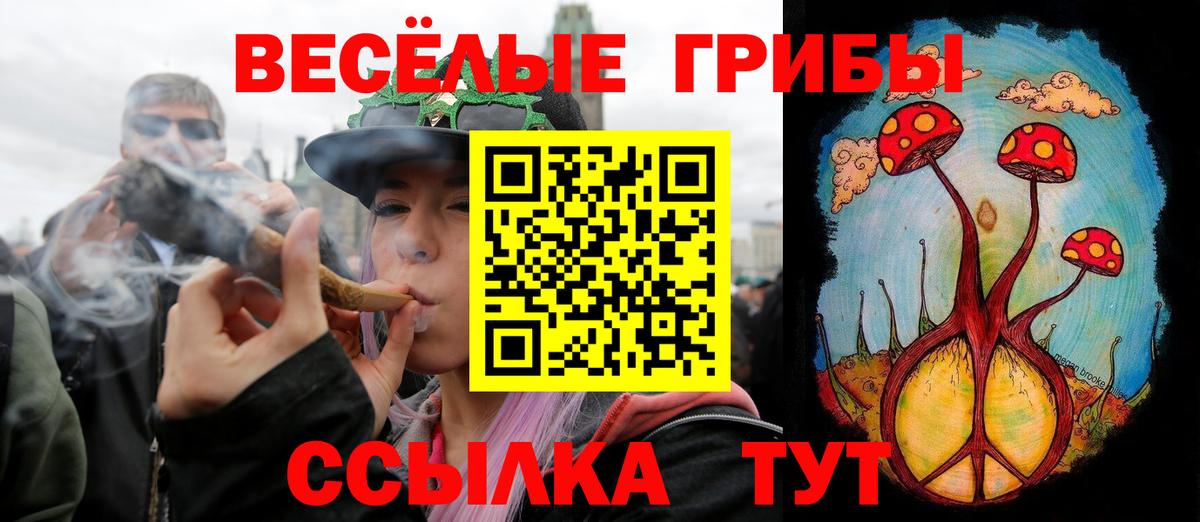 Галлюциногенные грибы Cubensis  Вход с VPN  цены наркотик  Зима 